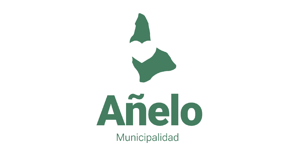 SPONSOR_INST_02_AÑELO-100